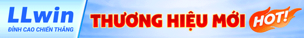 llwin banner gif